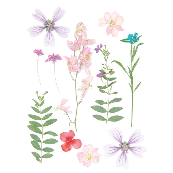 Pressed Flower & Plant Set Pink Violet Mix