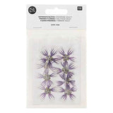 Pressed Flower & Plant Set Sweet Hollyhock Violet