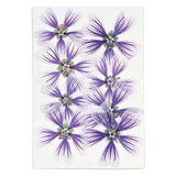 Pressed Flower & Plant Set Sweet Hollyhock Violet