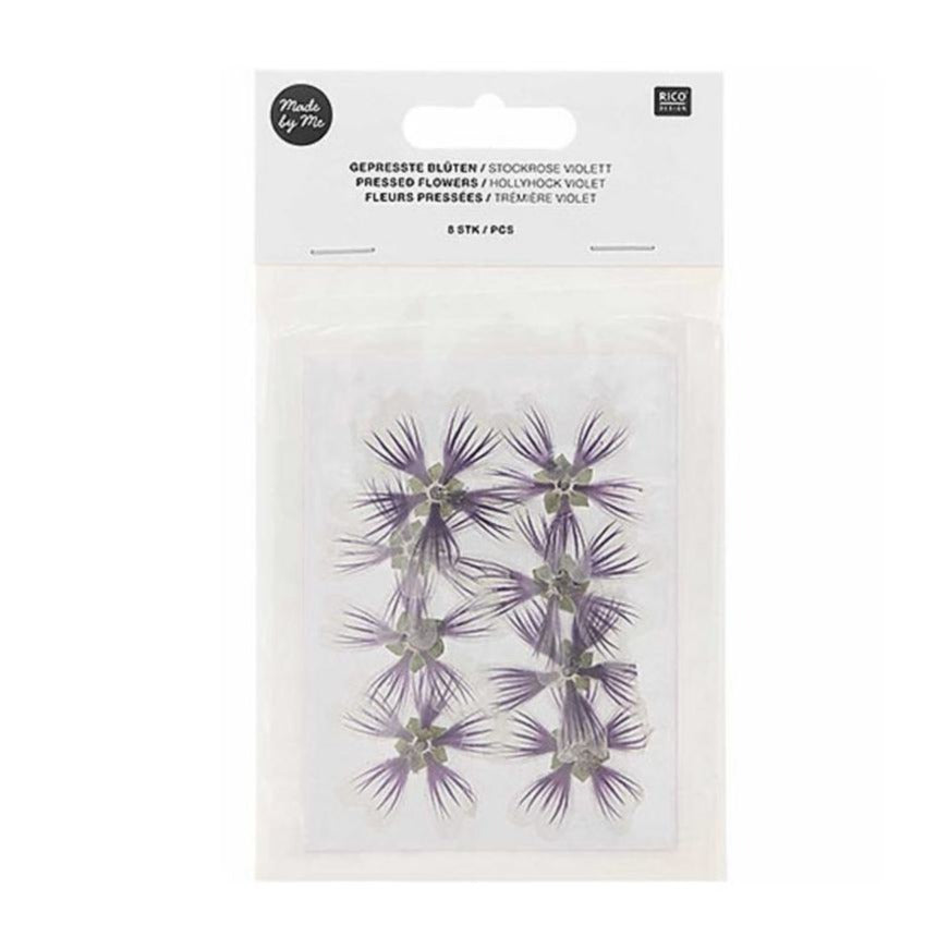 Pressed Flower & Plant Set Sweet Hollyhock Violet