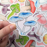 Rainbow Mushroom Sticker Pack - Set of 6