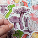 Rainbow Mushroom Sticker Pack - Set of 6