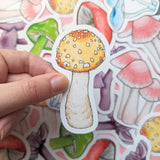 Rainbow Mushroom Sticker Pack - Set of 6