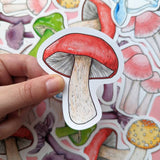 Rainbow Mushroom Sticker Pack - Set of 6