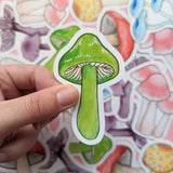 Rainbow Mushroom Sticker Pack - Set of 6