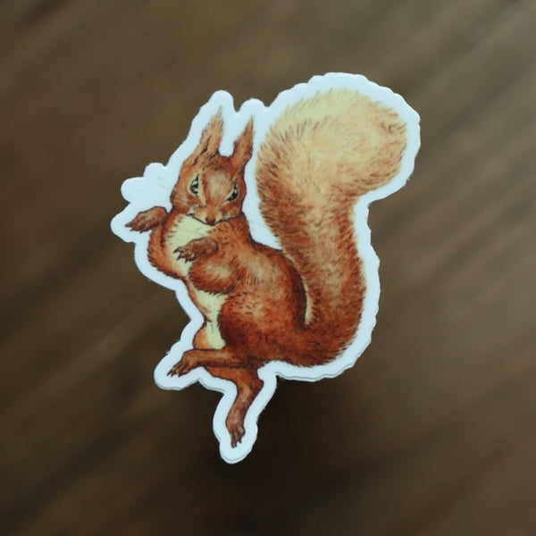 Squirrel Nutkin Vinyl Sticker