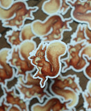 Squirrel Nutkin Vinyl Sticker