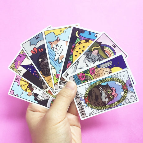 Ace of Cups Tarot Cat Meme Stickers (Major Arcana)