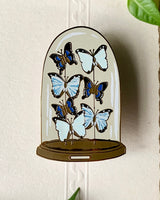 Victorian Butterfly Dome Entomology Enamel Pin