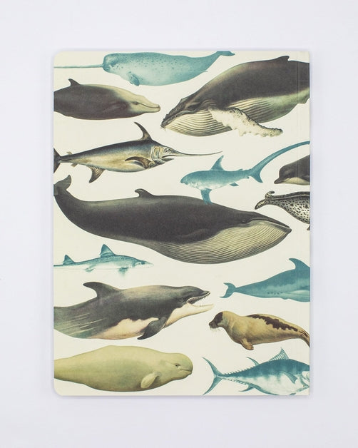 Whales & Seals Softcover Notebook - Lined Pages