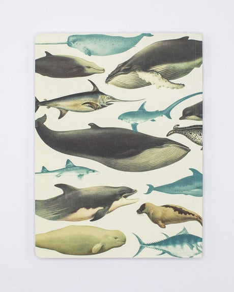 Whales & Seals Softcover Notebook - Lined Pages