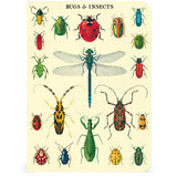 Bugs & Insects Mini Notebook Set 3/Pkg Cavallini & Co.