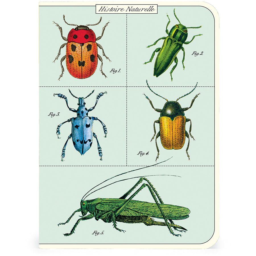 Bugs & Insects Mini Notebook Set 3/Pkg Cavallini & Co.