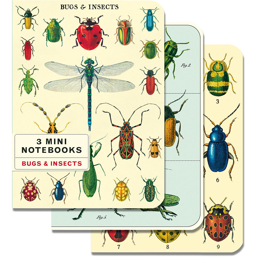 Bugs & Insects Mini Notebook Set 3/Pkg Cavallini & Co.