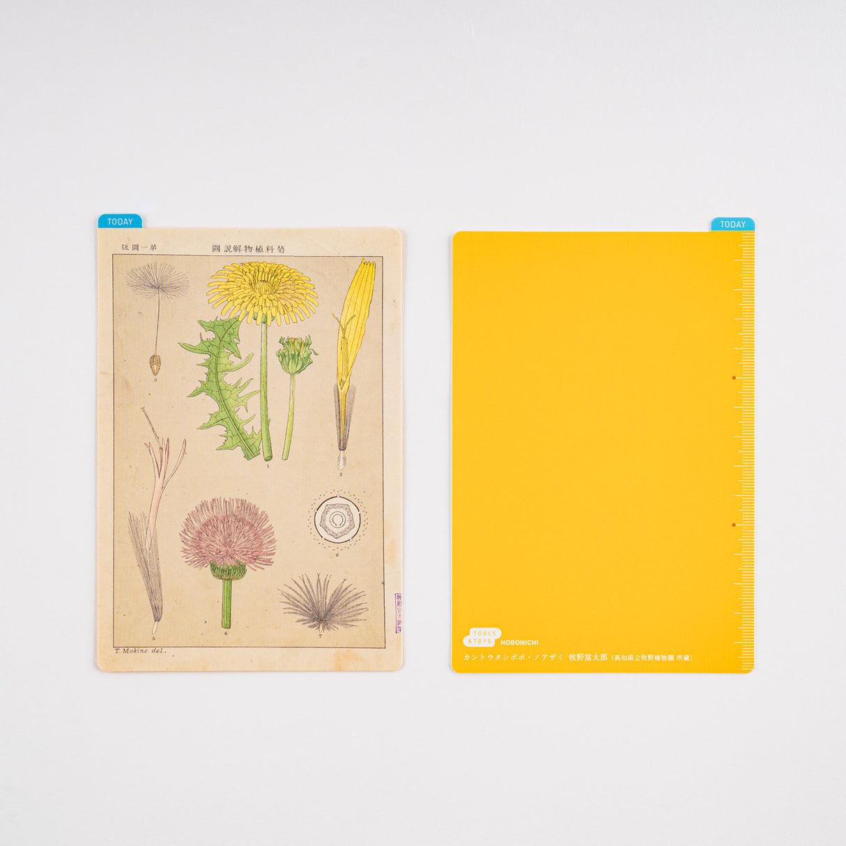 Hobonichi Pencil Board (Tomitaro Makino) for A6 Planner Original Size