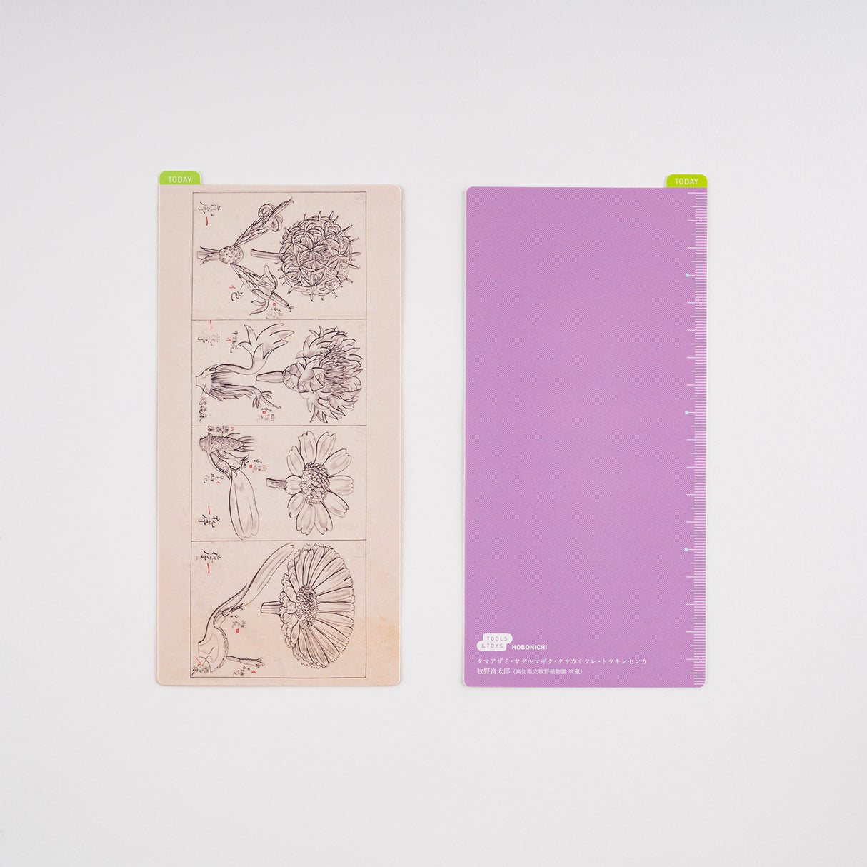 Hobonichi Pencil Board (Tomitaro Makino) for Weeks