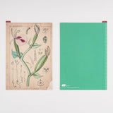 Hobonichi Pencil Board for A5 Size Tomitaro Makino