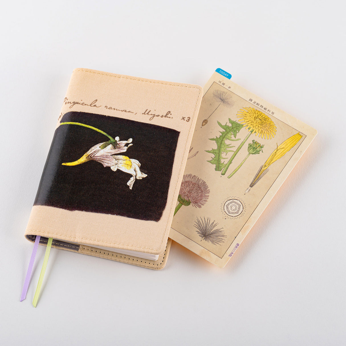 Hobonichi Pencil Board (Tomitaro Makino) for A6 Planner Original Size