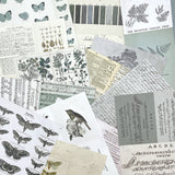 Color Swatch: Eucalyptus Collage Sheets 6"X8" 40/Pkg