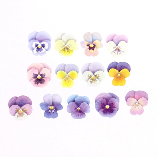 Pansy Flower Masking Roll Sticker Bande Washi Tape