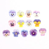 Pansy Flower Masking Roll Sticker Bande Washi Tape