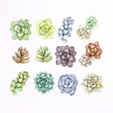 Succulent Washi Roll Sticker Bande (200 pieces)