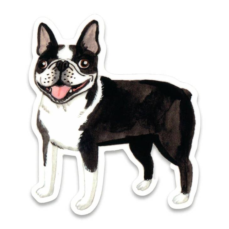 Boston Terrier Sticker