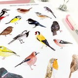 British Garden Bird Stickers