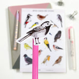 British Garden Bird Stickers