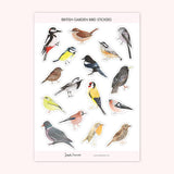 British Garden Bird Stickers