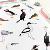 British Coastal Birds Stickers