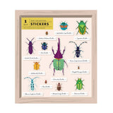 Bug Curio Collection