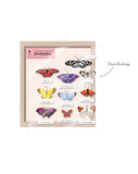 Butterfly Curio Collection