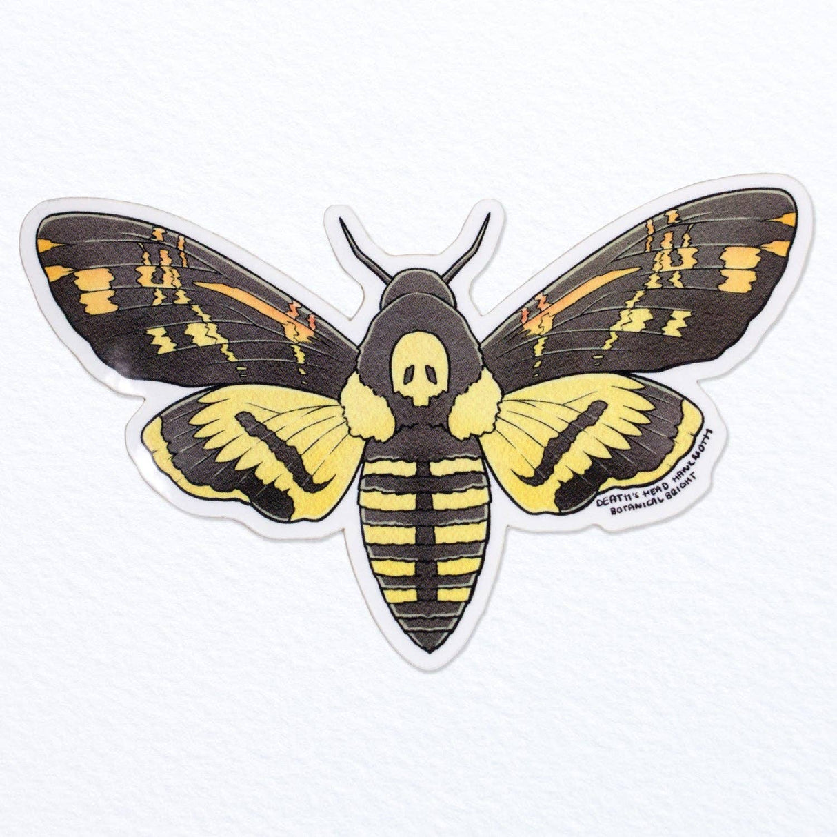 Death's-head Hawkmoth Vinyl Sticker