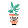 Ficus Plant Vinyl Sticker