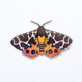 Garden Tiger Moth Vinyl Sticker