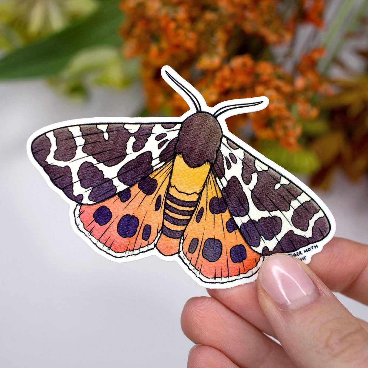 Garden Tiger Moth Vinyl Sticker