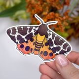 Garden Tiger Moth Vinyl Sticker