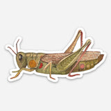 Grasshopper Sticker