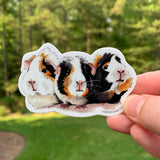 Guinea Pig Posse Sticker