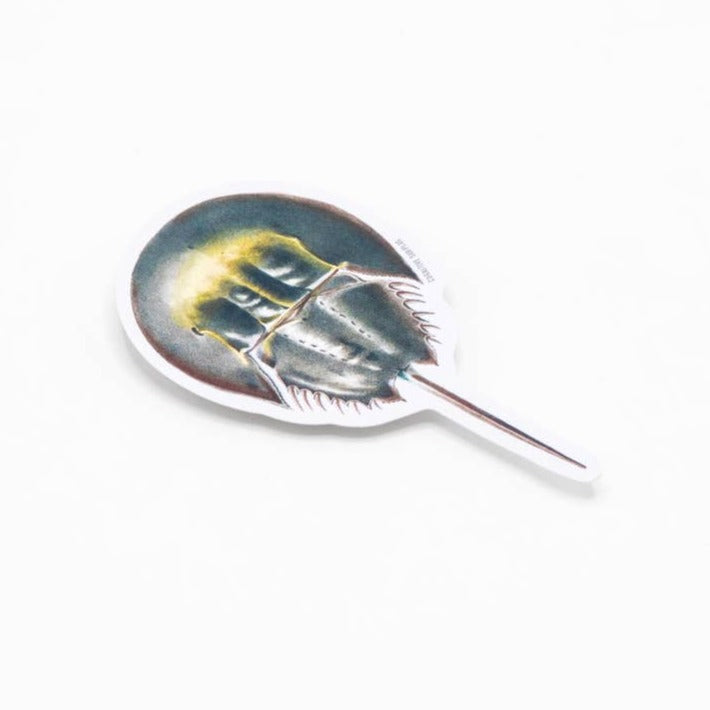 Horseshoe Crab Sticker