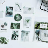 Collage Pic Green Washi Flake Sticker (40 pieces)