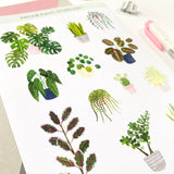 Indoor Plants Stickers