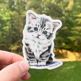 Kitten Sticker