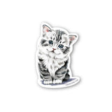 Kitten Sticker