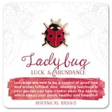 Ladybug Enamel Pin