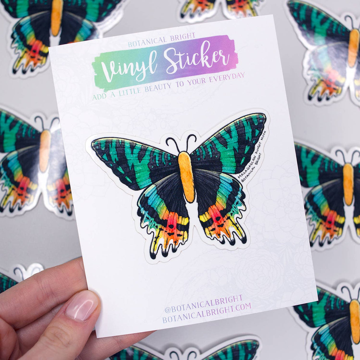 Madagascan Sunset Moth Vinyl Sticker