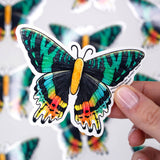 Madagascan Sunset Moth Vinyl Sticker