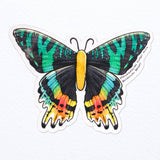 Madagascan Sunset Moth Vinyl Sticker