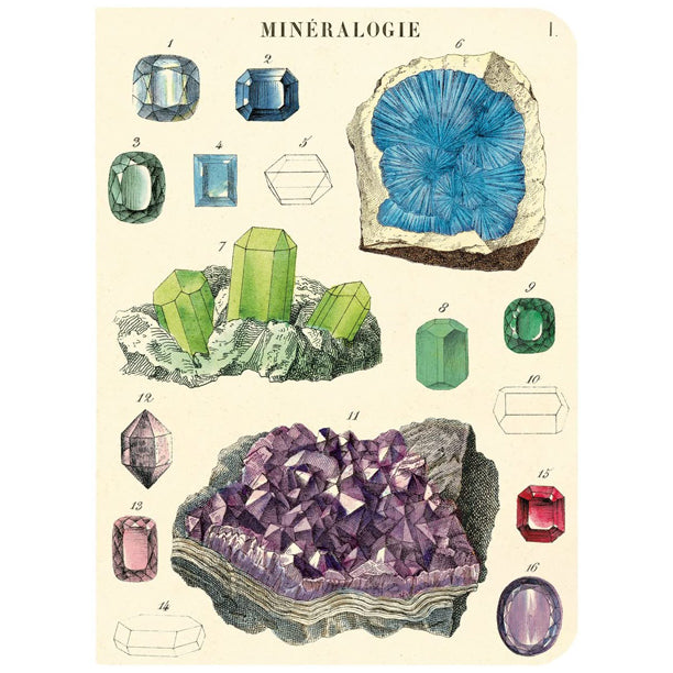 Cavallini & Co. Mini Notebook Sets Mineralogy 3/Pkg